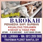 Tips Memilih Sapi Qurban Menurut…